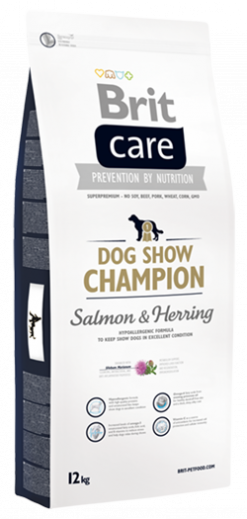 Dog Show Champion Salmon