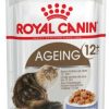 ROYAL AGEING 12+ JELLY 85GR