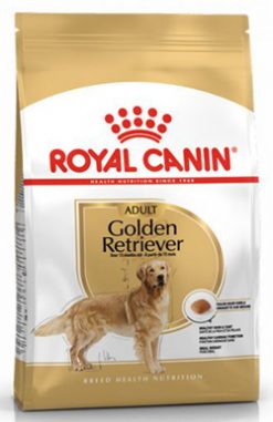 ROYAL GOLDEN RETRIEVER