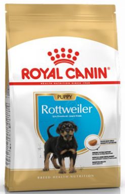 ROYAL ROTTWEILER JUNIOR