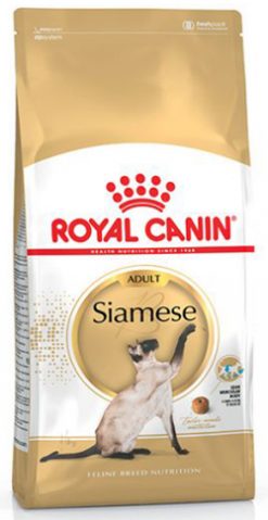 ROYAL SIAMESE