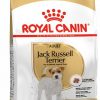 Royal canin jack russell adult