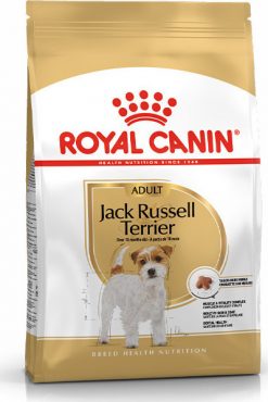 Royal canin jack russell adult