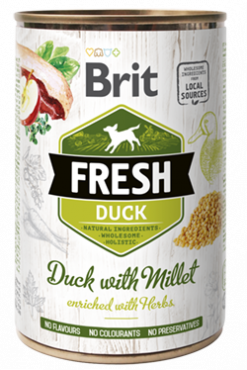 FRESH_duck_3D