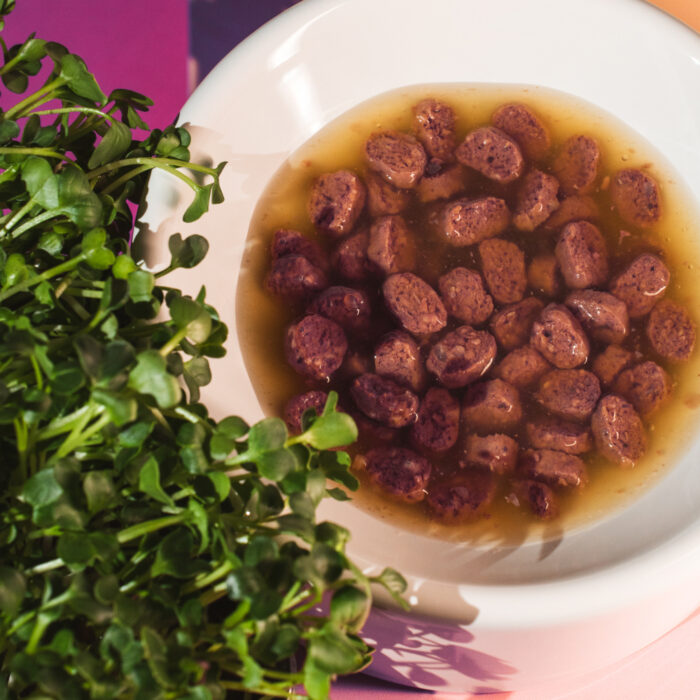 20918_cat-adult_duck_gravy.2